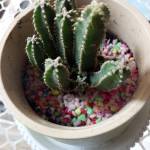 fengzhinuoyan Profile Picture