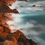 Orpha Pollich Profile Picture