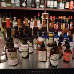 Antonina Mann Profile Picture