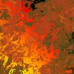 Blanca Kunze Profile Picture