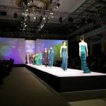 Anibal Hermann Profile Picture