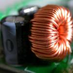 Zola Pfeffer Profile Picture