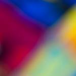 Brionna Volkman Profile Picture