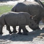 Sam Jast Profile Picture