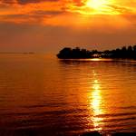 Ned Yundt Profile Picture