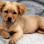 Leda Tillman Profile Picture