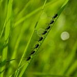 Maxine Dare Profile Picture