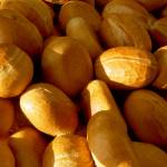 Grant Schimmel Profile Picture