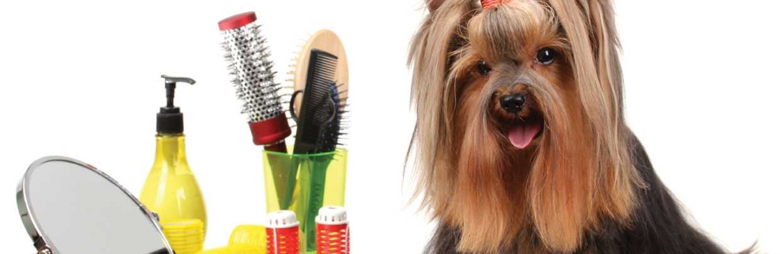 Puppy Playground Cover Image