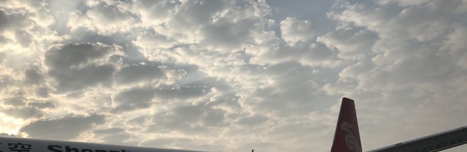 国外旅游交流分享 Cover Image