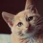 qwwq11 Profile Picture