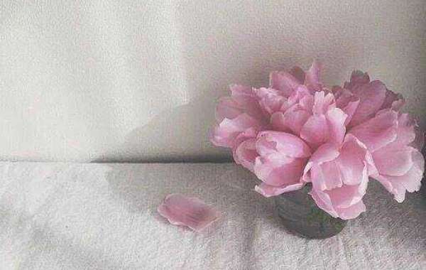 A few pitches for how spring Substantial 10 soccer may perhaps perhaps operate in just 2021