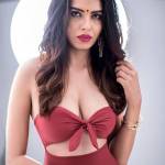 Manvi Kakkar Manvi Profile Picture