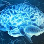 Australia intuitruiq Profile Picture