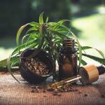 michelmarrtin Profile Picture