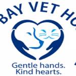 Cometbay Vethospital Cometbay Profile Picture