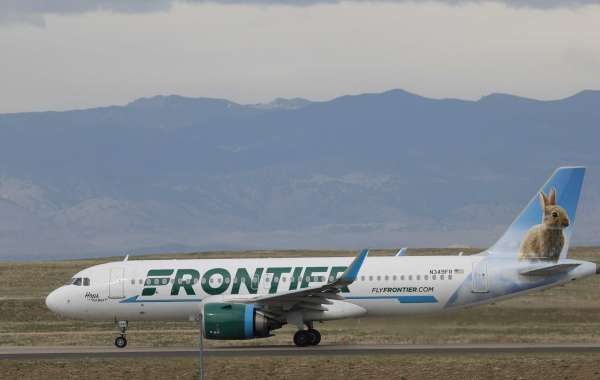What is the seat selection fee for Frontier Airlines?