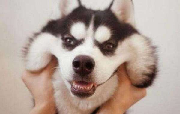 This site is also very good