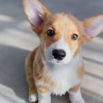 newsrevi ewbooks Profile Picture