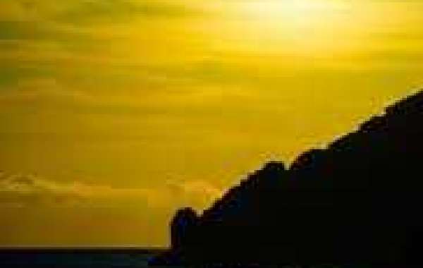 Is the total Steelers7 days 1 roster by now upon the personnel?