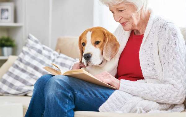 How To Select The Best Therapy Animal? - 2021 guide