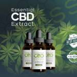 ExtractUruguay EssentialCBD Profile Picture