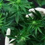 Reviews CBDHero Profile Picture