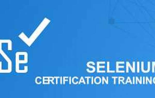 Selenium Training at NPN Training