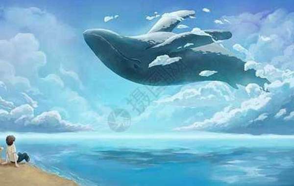 Kansas Town Chiefs Signal Middle Austin Blythe