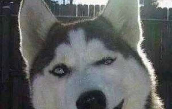 That's great, I like it so much