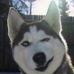 solutionbo Profile Picture