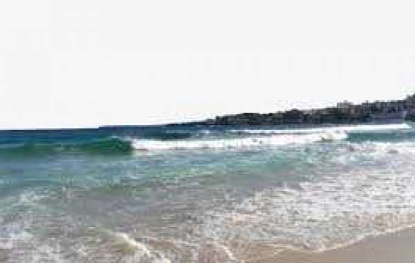 A breakdown of Warren Sharp 2019 Carolina Panthers exploration