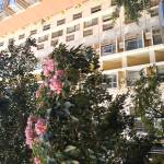 syxhsyxh Profile Picture