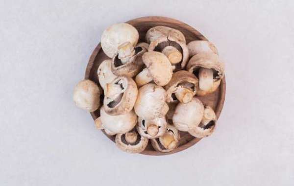 Best Place To Buy Shrooms Online In Canada