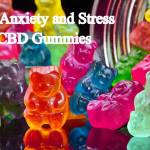 pain tim Profile Picture