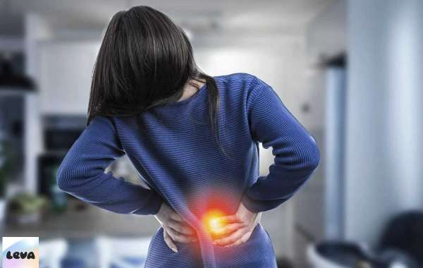 What Organ Is On The Middle Right Side Of Your Back?