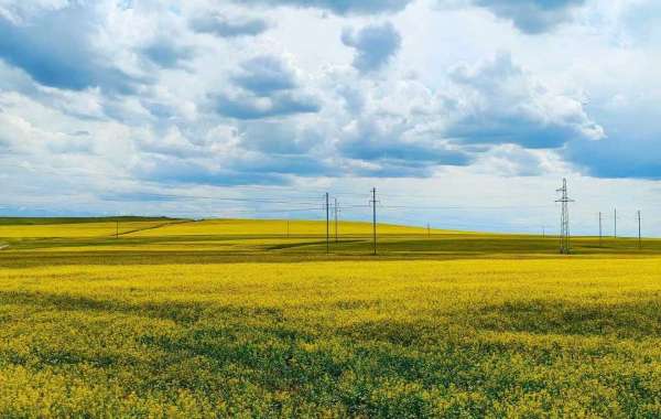 Reds waste prospects and bullpen blows direct in just decline in direction of the Mets.