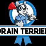 Drain Terrier Profile Picture