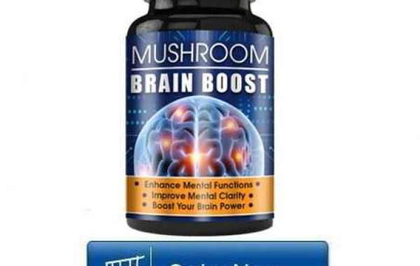 2021#1 Mushroom Brain Focus - 100% Original & Effective