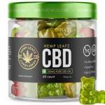 jendor christ Profile Picture