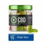 stens thomas Profile Picture