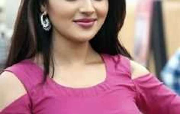 Pushkar Escorts Service