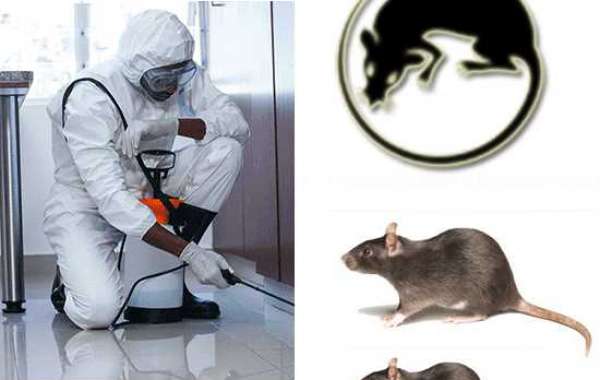 Best Rodent Control Services in Mumbai