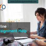 dark dale Profile Picture