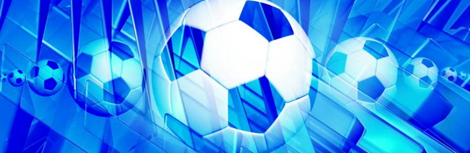 toto365 pro Cover Image