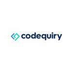 Code Quiry Profile Picture