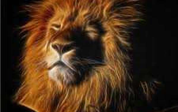 Slovis, Jackson in between best alternatives within CBS Sports 2022 NFL mock draft