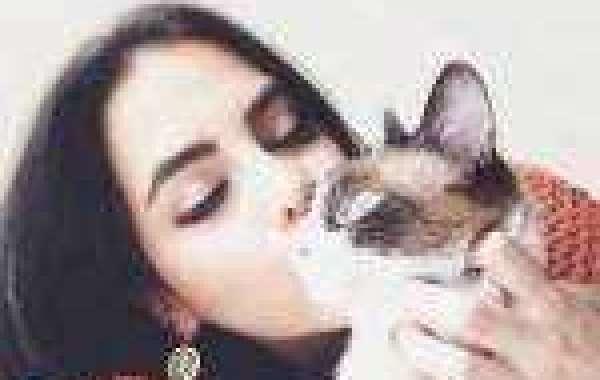 Something about me and my factory working stories