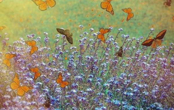 You can record 16-year-old videos on Samsung's new MicroSD cards for dash cams and doorbells.