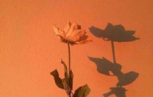 Two Chinese meteorological satellites conduct experiments.